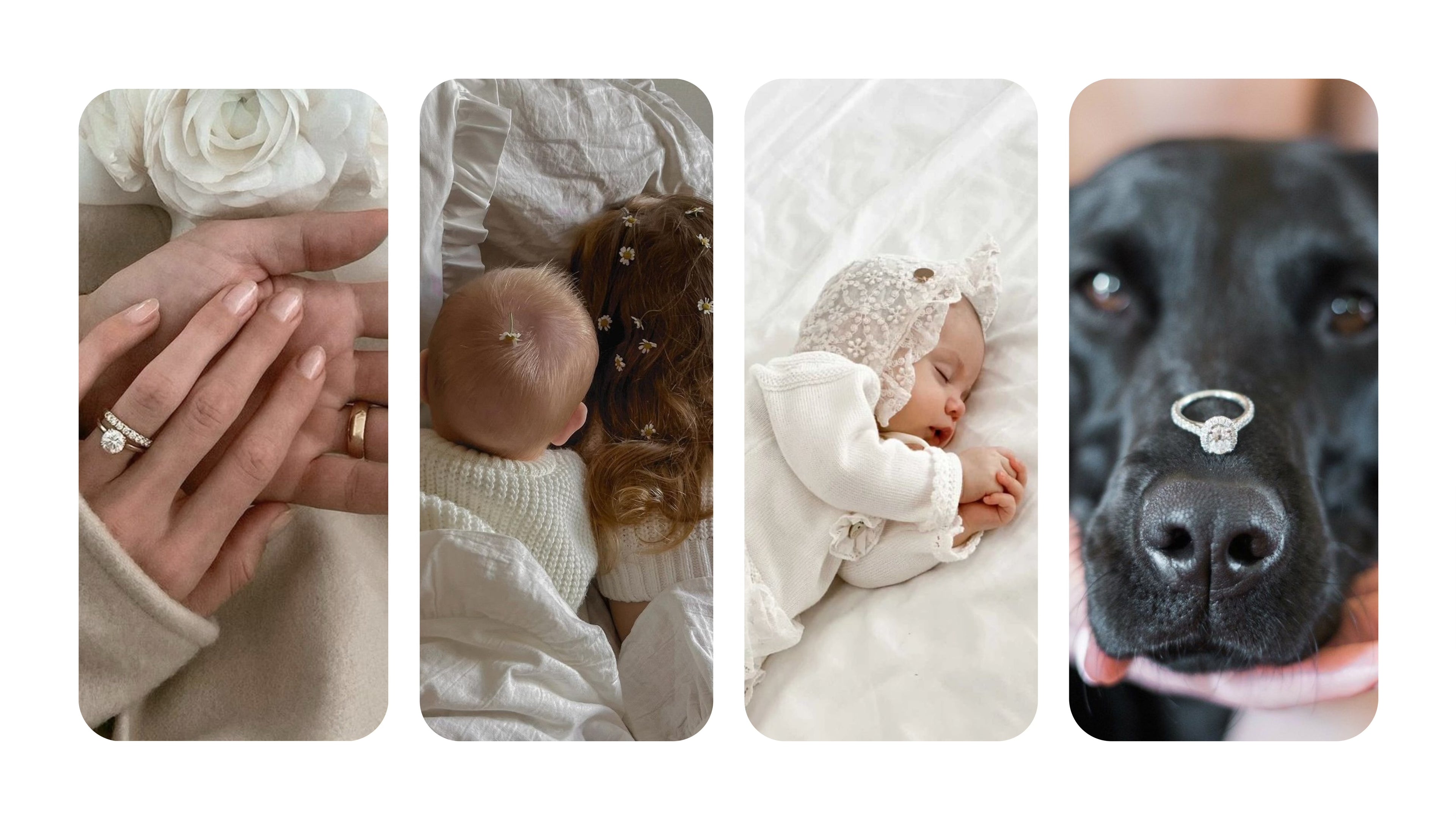 Custom Memorial Diamond Jewelry-Couple's wedding diamond、fetal hair、diamond and Pet Hair Diamonds