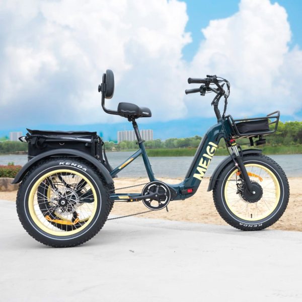DWMEIGI MG2301 SILVERADO 20 48V/14AH 750W Foldable Fat Tire Electric Trike, 330LBS (96817362)