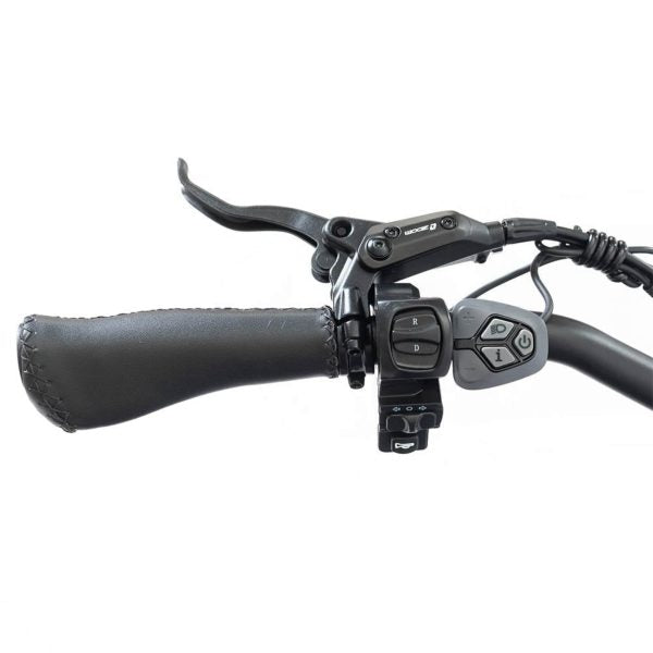 DWMEIGI MG2301 SILVERADO 20 48V/14AH 750W Foldable Fat Tire Electric Trike, 330LBS (96817362)