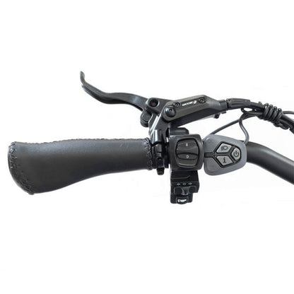 DWMEIGI MG2301 SILVERADO 20 48V/14AH 750W Foldable Fat Tire Electric Trike, 330LBS (96817362)