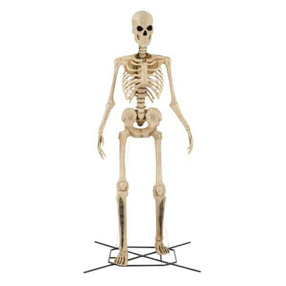 Giant-Sized Skeleton with LifeEyes LCD Eyes