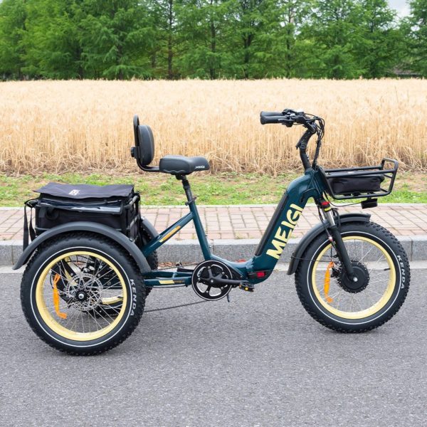 DWMEIGI MG2301 SILVERADO 20 48V/14AH 750W Foldable Fat Tire Electric Trike, 330LBS (96817362)
