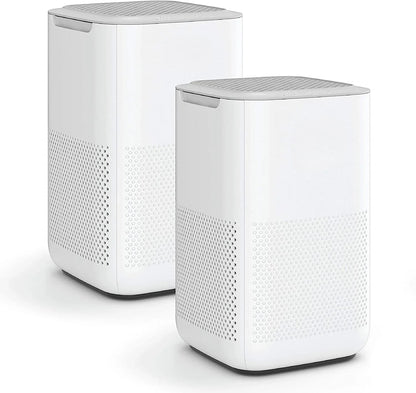 Air Purifier with H13 True HEPA Filter