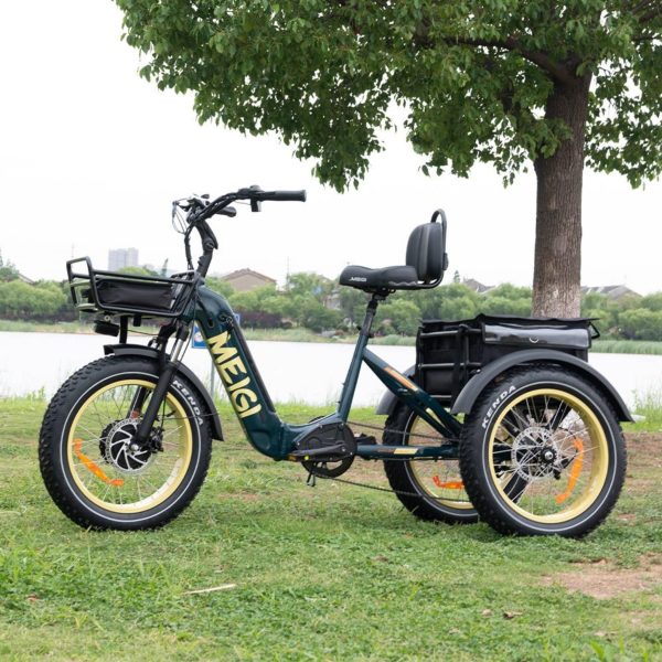 DWMEIGI MG2301 SILVERADO 20 48V/14AH 750W Foldable Fat Tire Electric Trike, 330LBS (96817362)
