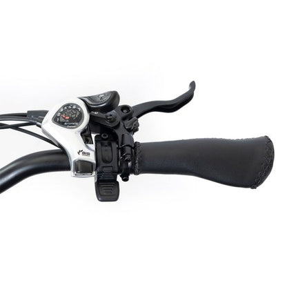 DWMEIGI MG2301 SILVERADO 20 48V/14AH 750W Foldable Fat Tire Electric Trike, 330LBS (96817362)