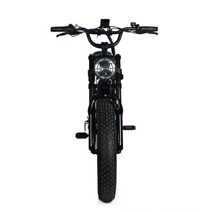 Electric Mountain Bike for Adults | 20 x 4.0 Fat Tires, 1000W Motor, 48V 20Ah Removable Battery, Max Speed 45MPH, Shi Mano 7-Speed for Off-Road Adventures