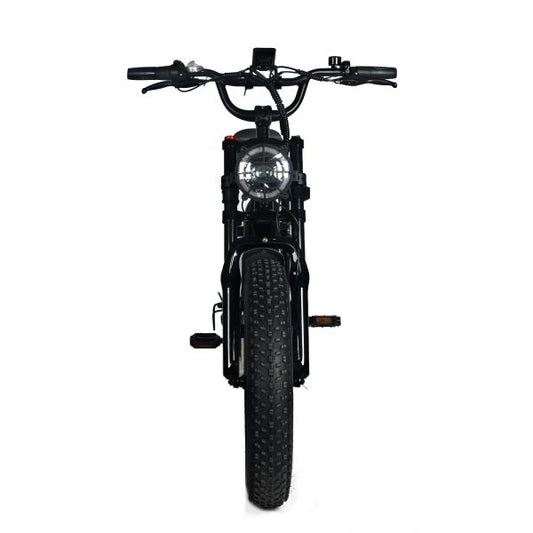 Electric Mountain Bike for Adults | 20 x 4.0 Fat Tires, 1000W Motor, 48V 20Ah Removable Battery, Max Speed 45MPH, Shi Mano 7-Speed for Off-Road Adventures